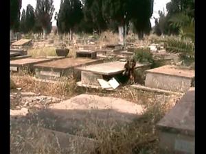 ORAN TAMAZOUHET 24